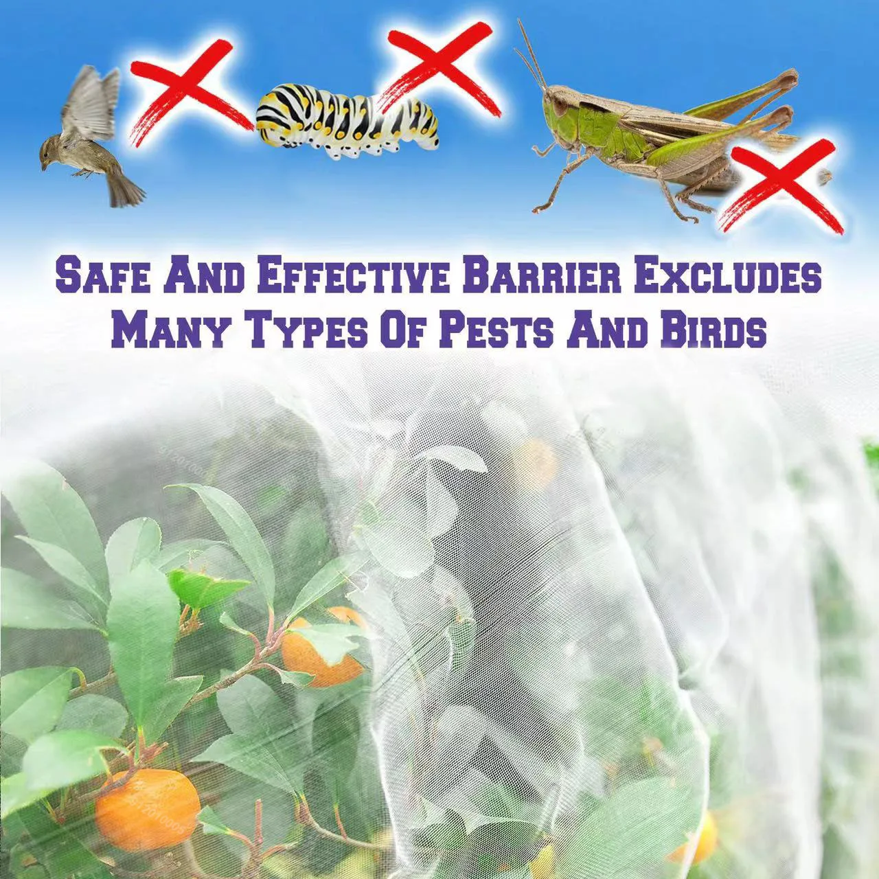 60 πλέγμα αλιεία με δίχτυα εντόμων για τα φυτά στον κήπο και τα φρούτα για την κάλυψη λαχανικών και λουλουδιών την περίθαλψη, την προστασία από τα πουλιά και κουνούπια