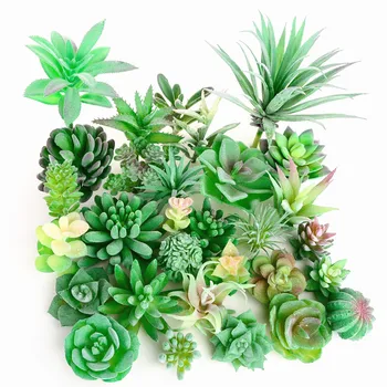 Πράσινο Συγκέντρωση Τεχνητή Παχύφυτα Φυτά Για Τη Διακόσμηση Εγχώριων Κήπων Την Ανθοδετική Αξεσουάρ Μπάνιου Planta Τεχνητή