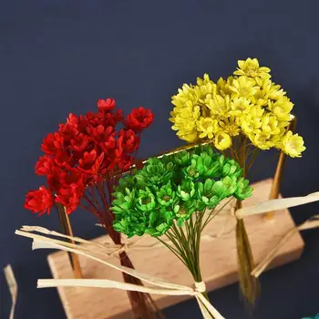 30Pcs Αποξηραμένα Λουλούδια UV Ρητίνη Πλήρωσης Μίνι Βραζιλία Αστέρων Χρυσάνθεμο Λουλούδι DIY Εποξική Ρητίνη Φόρμα Τεχνών Τέχνης Κοσμήματα, Καθιστώντας Προμήθειες