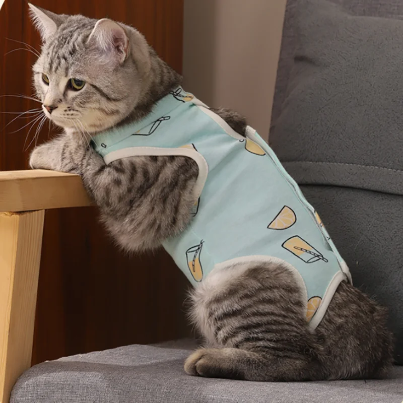 Στείρωση γάτας Κοστούμι Αντι-γλείψε την Ανάκτηση Ρούχα Μετά από Χειρουργική επέμβαση για το Μικρό Σκυλί Στολή Γάτα Γατάκι τον Απογαλακτισμό Κοστούμι Pet Care Ρούχα