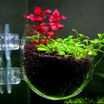 Ενυδρείο Φυτό Κάτοχος Γυαλιού Κρυστάλλου Υδρόβια Διακόσμηση Φυτών Κύπελλο Κατσαρόλα με τα Φλυτζάνια Αναρρόφησης για τη Δεξαμενή Ψαριών Ενυδρείων Aquascape Διακόσμηση